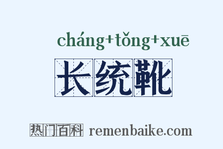 长统靴是什么意思的图片